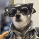 Leroy as Nada
